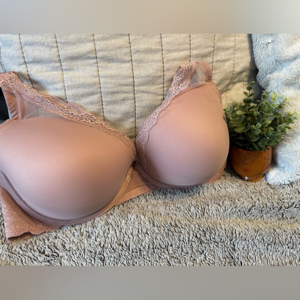Torrid Push-up Plunge Bra